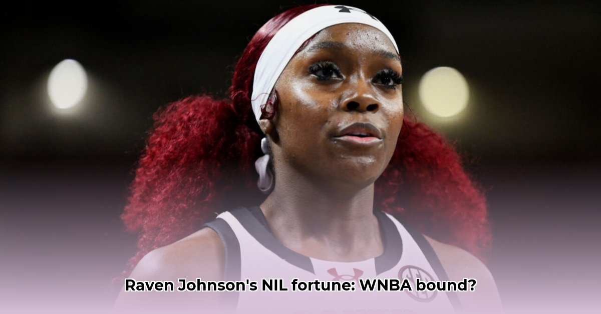 raven-johnson-net-worth